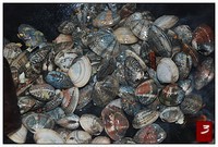 �峴�������������ͼ��