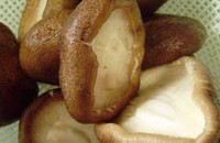 ����㹽����������ͼ��