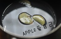 ��÷�������������ͼ��