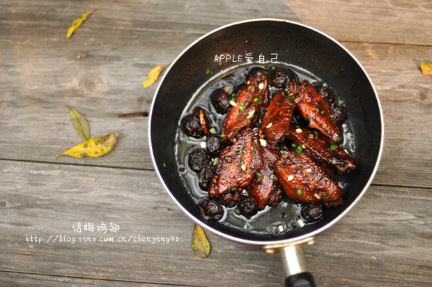 开胃菜话梅鸡翅的做法,怎么做,话梅鸡翅如何做好吃详细步骤图解的做法