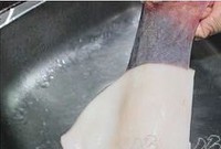 �������ϵ���������ͼ��