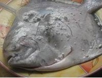 �ҳ������������������ͼ��