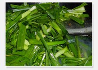 ţ�ǳ��������������ͼ��