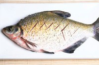 ������������������ͼ��