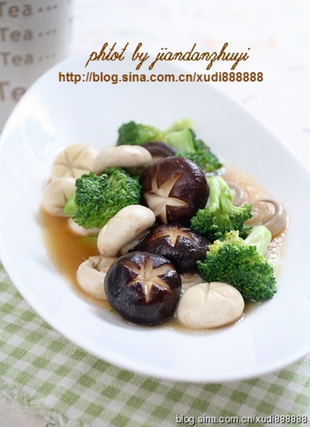 ���˫��������������