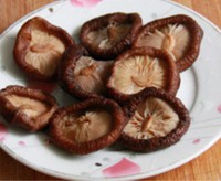 ������ĩ���㹽����������ͼ��