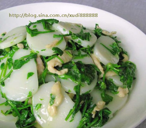 ������˿����������