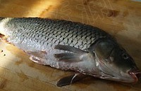 ������������������������ͼ��