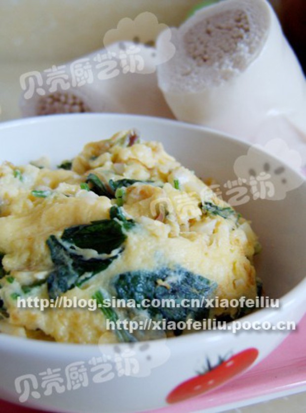 ���㲤�˳���������