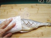 ���ջƻ������������ͼ��