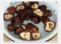 �㹽�Źǵ���������ͼ��