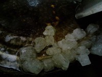 ������Źǵ�����ͼƬ����4