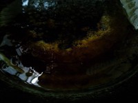 ������Źǵ�����ͼƬ����5