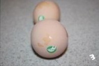 ��Ϻľ������������ͼƬ����3