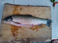 �����������ͼƬ����1