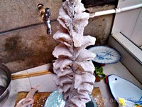 �����������ͼƬ����3