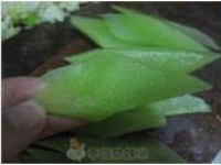 �罷����Ƭ������ͼƬ����2