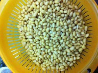 ���������&�ƶ����ﶬ�̲�ʥƷ��������ͼƬ����1