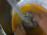 ���������&�ƶ����ﶬ�̲�ʥƷ��������ͼƬ����4