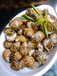 ���Ʒ��ݵ�����ͼƬ����2