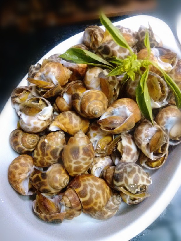 ���Ʒ��ݵ�����