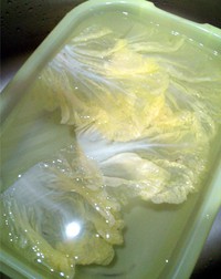 �ײ����Ӿ�������ͼƬ����6