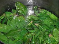 �㳦����������ͼƬ����4