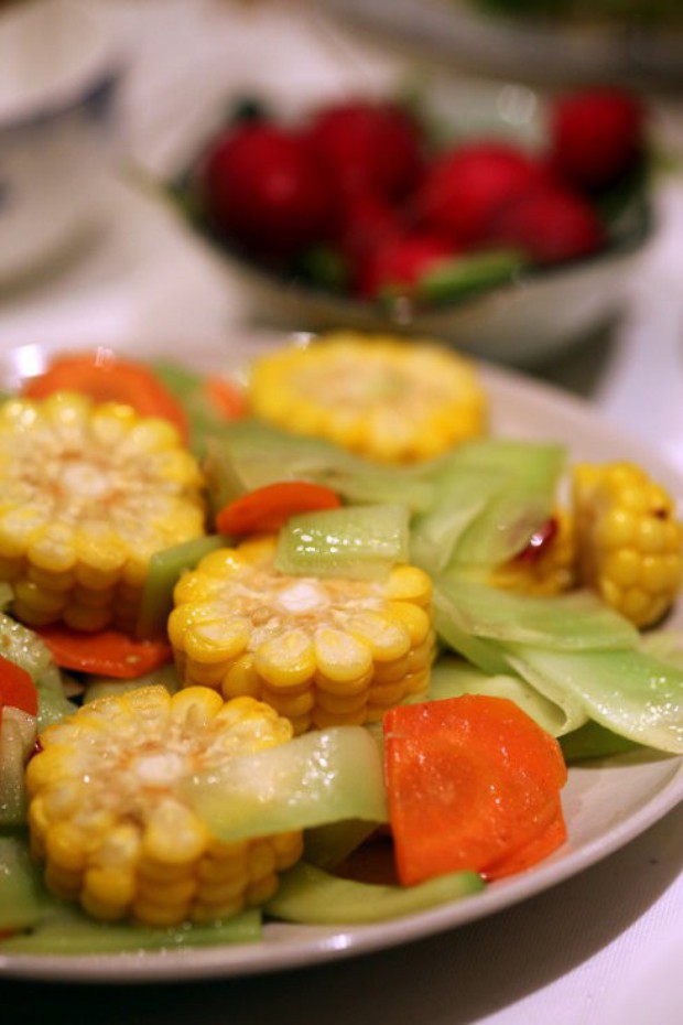 ��ɫ��԰�س�������