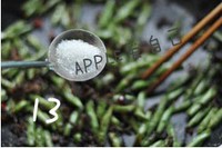 ����÷�ɲ��ļ���������ͼƬ����17