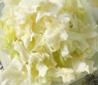 �����˺���Ĳ˵�����ͼƬ����1