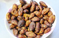 ���Բ�Ӽ������ͼƬ����1