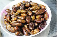 ���Բ�Ӽ������ͼƬ����6