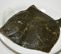 ����ƫ���������ͼƬ����1