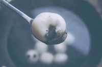 ��ر㵱֮����֥����Բ��������ͼƬ����7