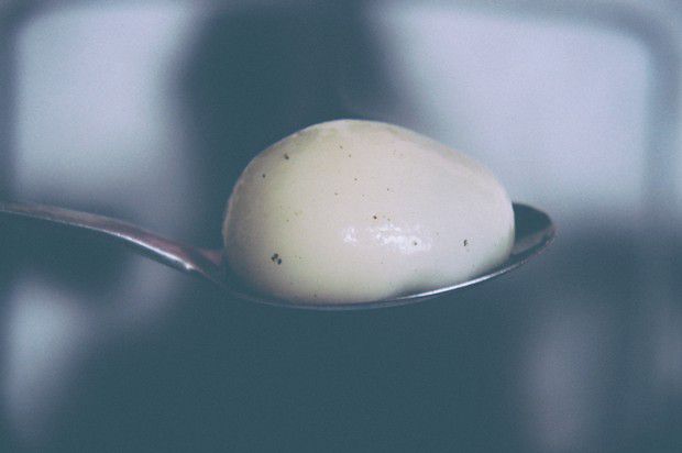 �ڷ�С�Ժ�֥����Բ������,��ô��,��֥����Բ������ó���ϸ����ͼ�������