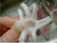 �����������ͼƬ����2