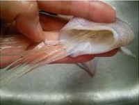 �����������ͼƬ����3