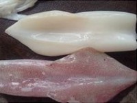 �����������ͼƬ����6