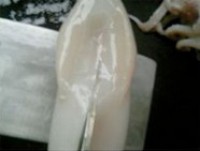 �����������ͼƬ����7