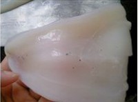 �����������ͼƬ����8