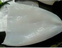 �����������ͼƬ����9