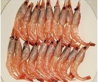 ���㽷�α���Ϻ������ͼƬ����3