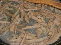 ��ɳ����������ͼƬ����4