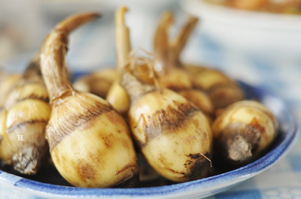 ���Ե�����