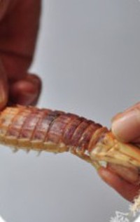 ��h����Ϻ������ͼƬ����1