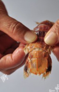 ��h����Ϻ������ͼƬ����2