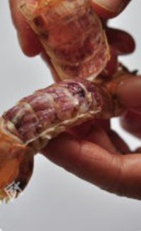 ��h����Ϻ������ͼƬ����4