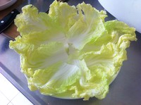 �����ȱ���˿���޲˵�����ͼƬ����4