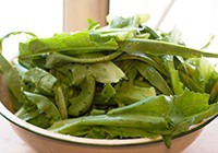 ��������˵�����ͼƬ����1