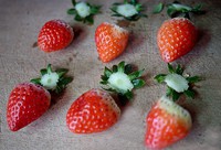 Ҭ�̾����ݮ֥ʿ�������������ɱ���������ͼƬ����1